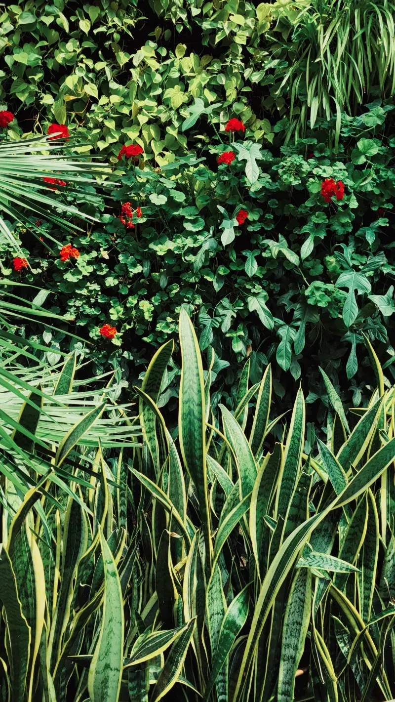 Maple Grove Garden Studio