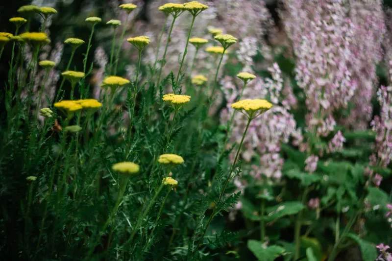 Maple Grove Garden Studio 3